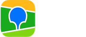 2GIS